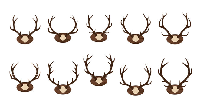 Collection of ten different sets of deer antlers mounted on wooden plaques as wall decorations or hunting trophies for home.