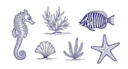 Seahorse Fish Shell Starfish and Seaweed Illustration. © Melinda