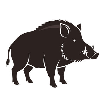 Black Boar Side Profile Illustration.