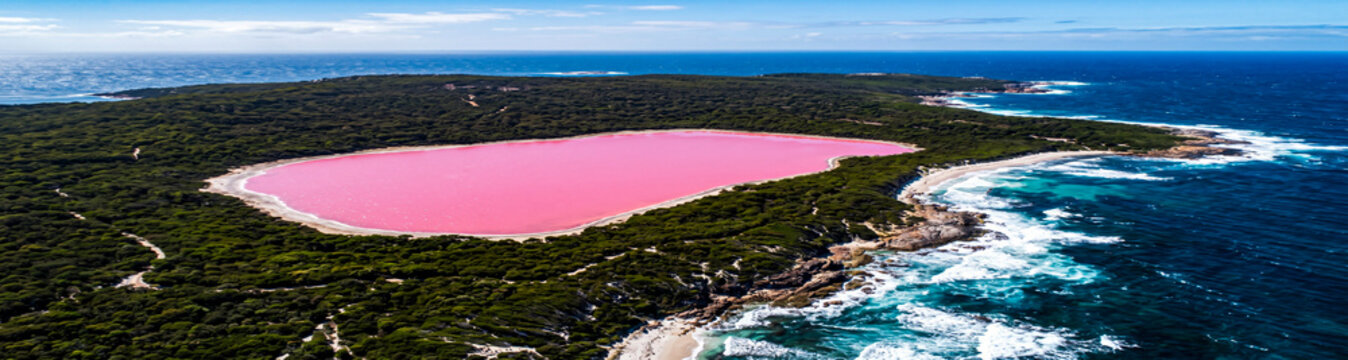 Aerial panorama of vibrant pink Lake Hillier surrounded by green forest and blue ocean in Australia.