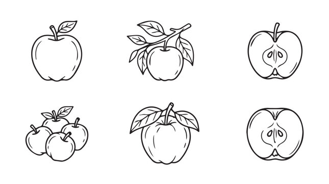 Collection of apple illustrations whole and halved organic food black and white illustration nutrition vitamins botanical vegetarian refreshing minimalist collection