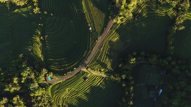 Cinematic aerial view of flooded Belimbing rice terraces at sunrise &ndash; Breathtaking drone shot of golden morning sky reflecting in traditional Balinese paddy fields, Bali Indonesia 4k
