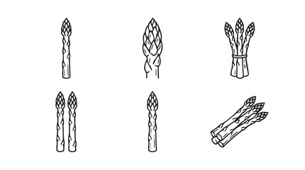 Naklejka premium Variety of asparagus illustrations in simple line drawing style with asparagus vegetable culinary ingredient nutrition seasonal superfood vegetarian vitamins agriculture cultivation