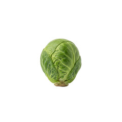 Fototapeta premium Single Brussels sprout with green leaves