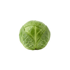 Obraz premium Single fresh green Brussels sprout