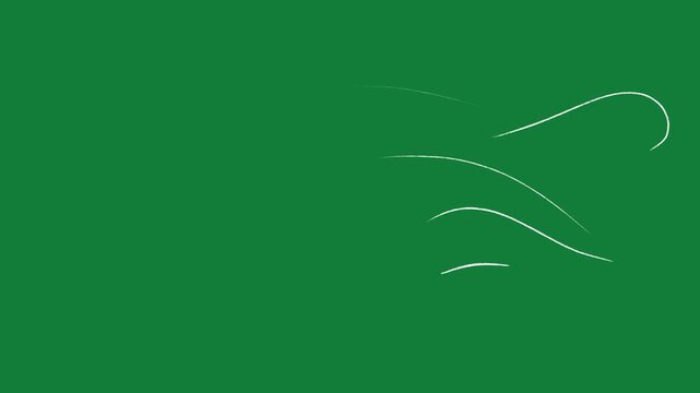 vector white lines wind effect on green screen, UI motion graphics. alpha adjustment layer, smooth animated line filter, 2d animation