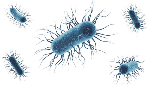 Microscopic view of bacteria cells with flagella like salmonella or e coli isolated on white background medical scientific microbiology vector illustration