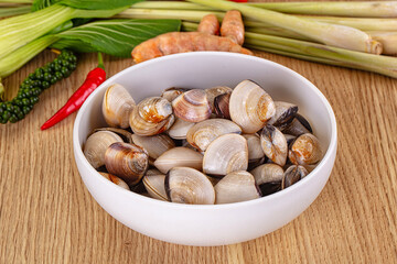 Raw fresh wild clams mollusc © Andrei Starostin