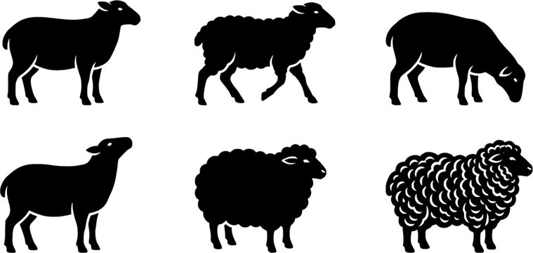 Domestic Sheep Silhouette Icon Row Featuring Farm Animals, Woolly Lamb Variations, Livestock Design, Agriculture Symbol, and Black Vector Illustration
