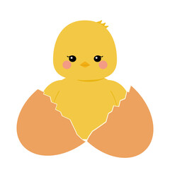 生まれたてのヒヨコ © ゴエママ