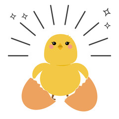 生まれたてのヒヨコ © ゴエママ