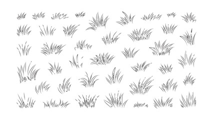 Collection of grass silhouettes hand drawn style isolated on transparent background set. © Sara Studio