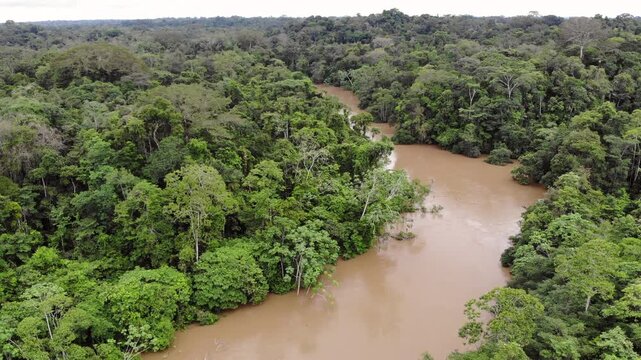 Aerial view of Rio Tiputini in the Ecuadorian Amazon in flood. Very high river levels in February 2022 flooded the forest bordering Rio Tiputini in Yasuni National Park, Orellana province, Ecuador
