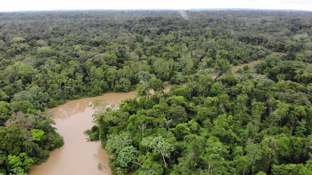 Aerial view of Rio Tiputini in the Ecuadorian Amazon in flood. Very high river levels in February 2022 flooded the forest bordering Rio Tiputini in Yasuni National Park, Orellana province, Ecuador