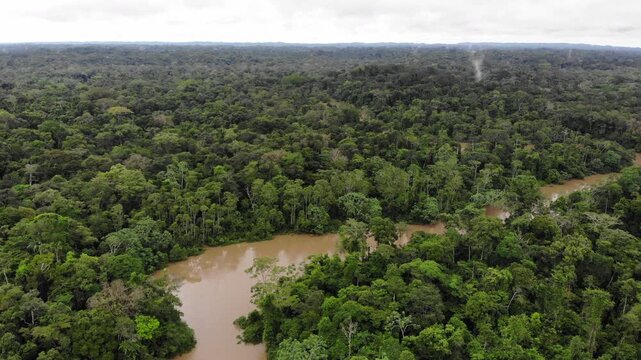Aerial view of Rio Tiputini in the Ecuadorian Amazon in flood. Very high river levels in February 2022 flooded the forest bordering Rio Tiputini in Yasuni National Park, Orellana province, Ecuador