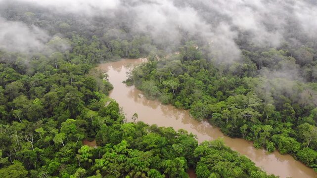 Aerial view of Rio Tiputini in the Ecuadorian Amazon in flood. Very high river levels in February 2022 flooded the forest bordering Rio Tiputini in Yasuni National Park, Orellana province, Ecuador