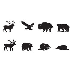 Obraz premium PrintShadows of the Wild