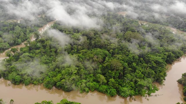 Aerial view of the misty rainforest canopy and Rio Tiputini at dawn. The river flooded following days of heavy rainfall. Rainforest bordering Rio Tiputini in Yasuni National Park, Ecuador.