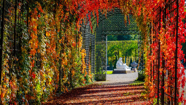 Colorful leaves cover a garden path leading to a statue in the distance on a sunny autumn day