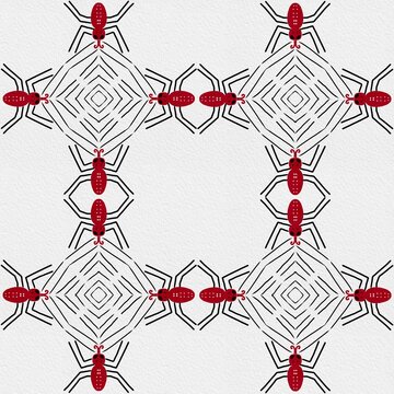 Close-up spider body pattern showcasing unique natural markings and texture