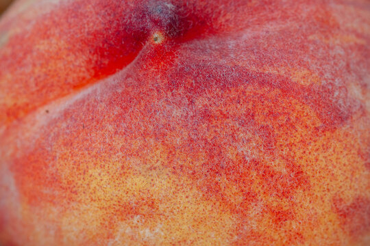 Close-up macro view of a ripe peach showing its fuzzy skin texture and vibrant colors