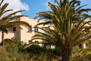 Fototapeta premium Summer scenery on Crete island with palm trees and hote facades