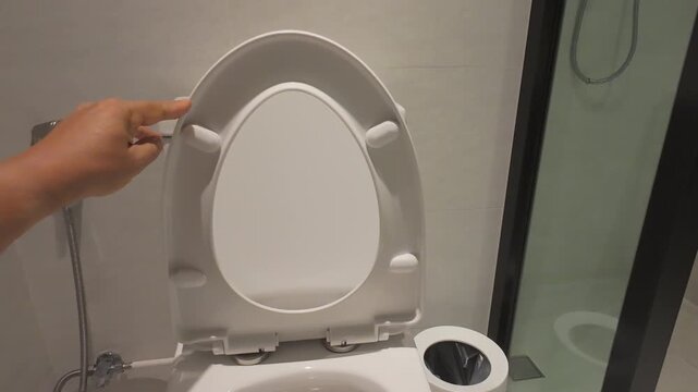Handyman replace toilet seat hinge and rod.