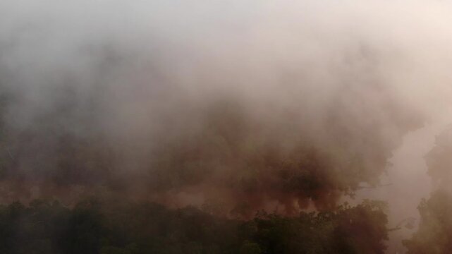 Aerial view of the misty rainforest canopy and Rio Tiputini at dawn. The river flooded following days of heavy rainfall. Rainforest bordering Rio Tiputini in Yasuni National Park, Ecuador.