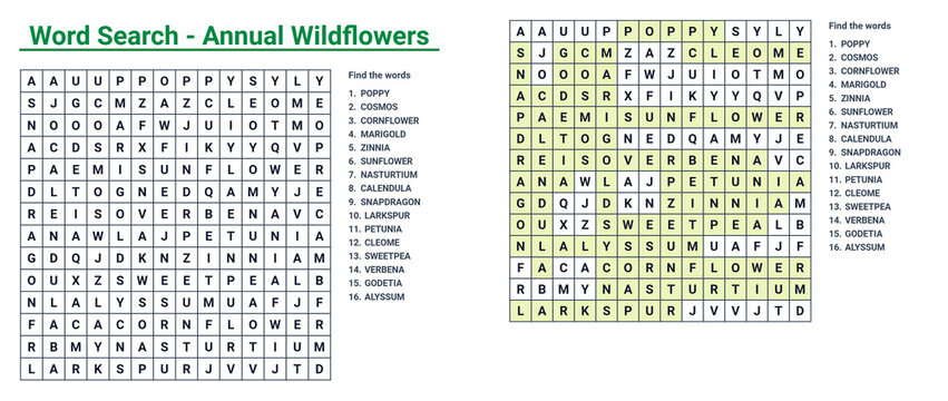 Annual wildflowers word search puzzle with highlighted solution grid 