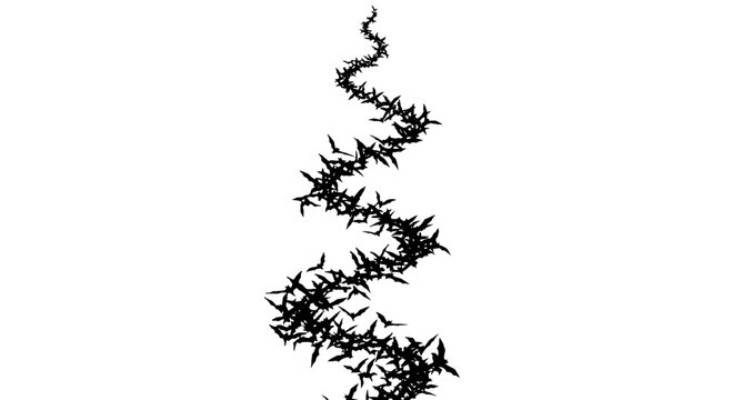 A swirling flock of black birds flying in a vertical spiral formation.