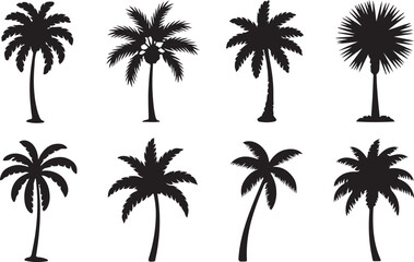 Fototapeta premium Eight stylized palm trees in black and white vector design