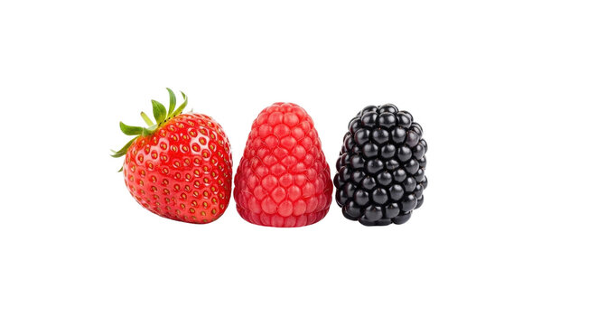 Fresh berries comparison: strawberry, raspberry, and blackberry side-by-side fruit