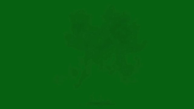 Explosive Burst on Green Screen High-Energy Animation, Easy editable green screen video, high quality vector 3D illustration. Top choice green screen background
