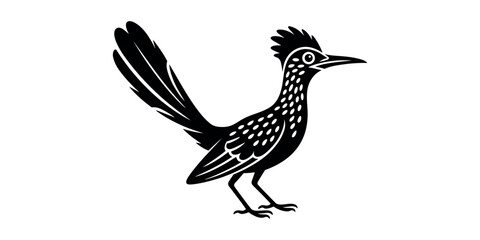 Obraz premium Black and white roadrunner standing on ground bird animal wildlife in white background