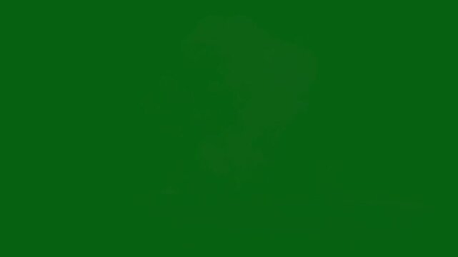 Explosive Burst on Green Screen High-Energy Animation, Easy editable green screen video, high quality vector 3D illustration. Top choice green screen background