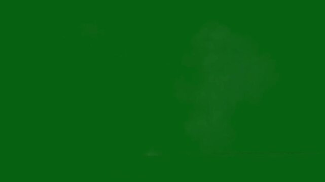 Explosive Burst on Green Screen High-Energy Animation, Easy editable green screen video, high quality vector 3D illustration. Top choice green screen background