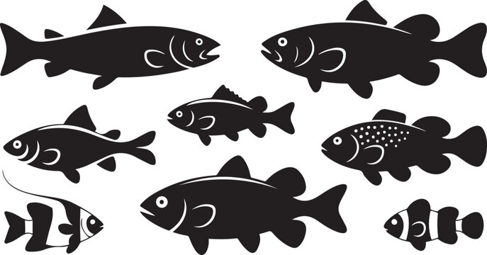 Diverse collection of fish silhouettes includes salmon bass trout and clownfish icons.  silhouette vector illustration