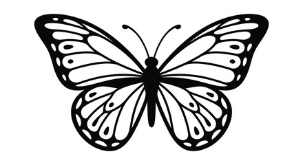 Monochrome butterfly silhouette with detailed wing patterns black and white silhouette © SAKINA