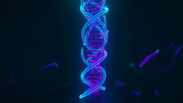 Futuristic neon DNA double helix transforming into glowing humanoid figures, symbolizing genetic blueprint and life creation process