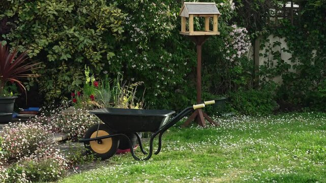 Peaceful garden with wheel barrow and bird table.