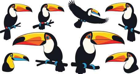 Exotic Toco Toucan Bird Vector Icon Set with Tropical Hornbill Sitting on Branches and Flying Wildlife Designs © Firoz