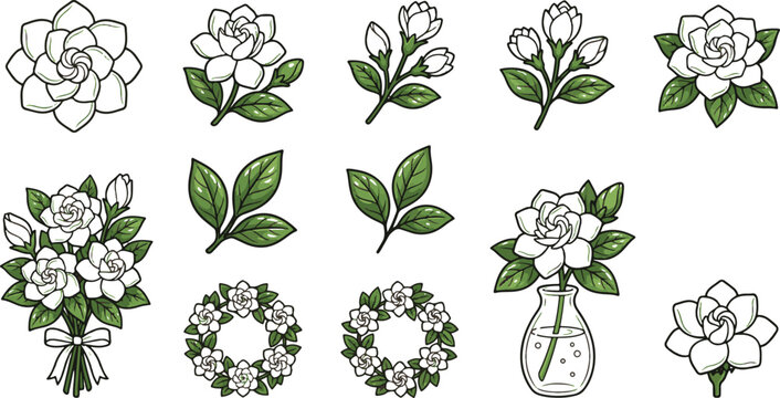 Elegant gardenia flowers and leaves vector illustrations