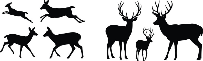 Fototapeta premium Deer silhouettes, stag antlers, doe, buck, wildlife vector, forest animal illustration, black silhouette art, hunting theme, nature graphic design