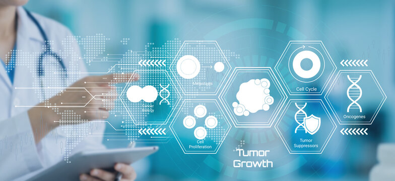 Medical professional analyzing digital tumor growth factors and cellular processes on interactive screen interface
