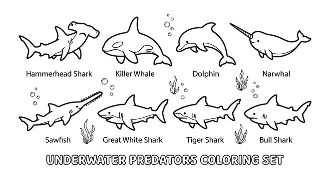 Underwater predators silhouette collection black vector shapes on white background