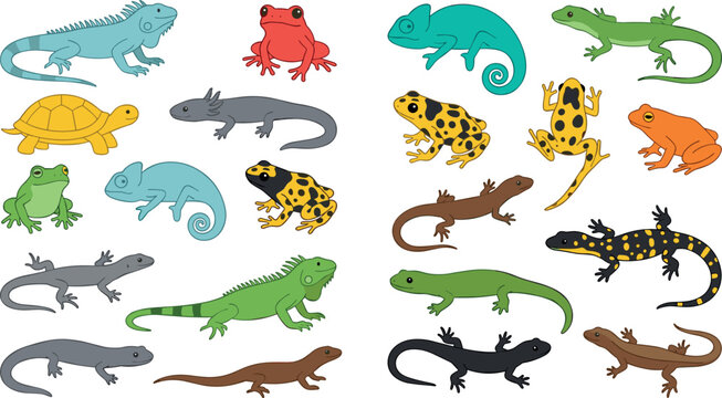 Cartoon Reptiles and Amphibians Vector Illustration Set with Lizards Frogs Chameleons Geckos Salamanders and Turtle Isolated on White Background for Kids Designs