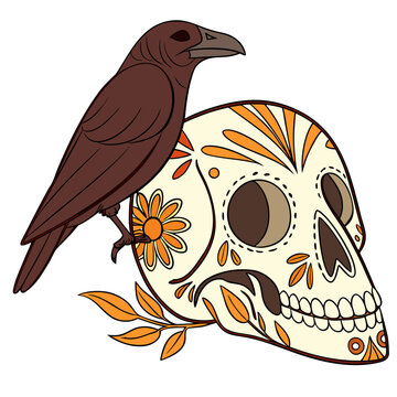 Raven Perched Upon A Decorated Skull A Colorful Vector Illustration With A White Background avian bird