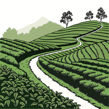 Terraced hillside landscape with winding path a detailed vector illustration in shades of green agriculture arable