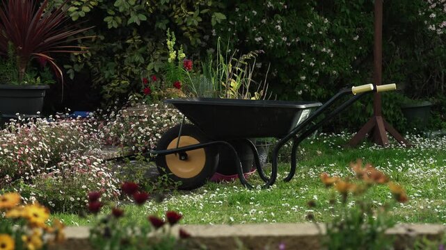 Peaceful garden with wheel barrow and bird table.