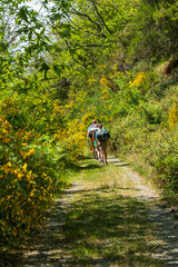 Obraz premium Beautiful panorama on the Via dei Monti trekking way, from Tuscany to Ligury, Italy